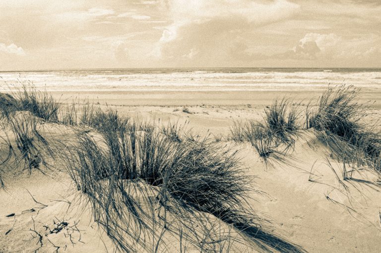 Le rivage d'avant